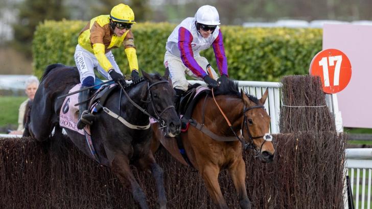 Cheltenham Gold Cup winner Galopin Des Champs 